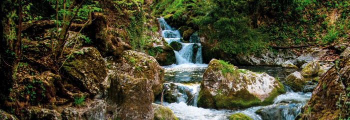 Copyright Gaia-aqua.nl (c) Gaia-aqua.nl